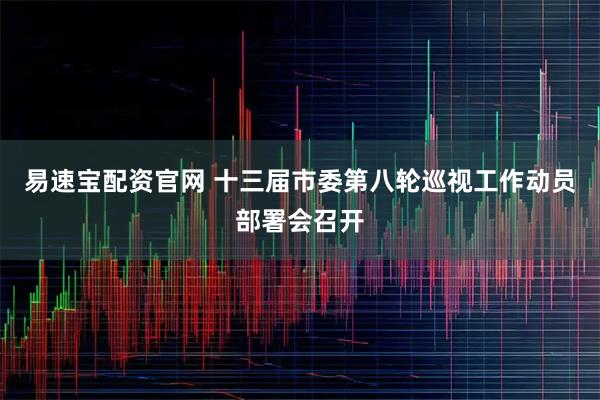 易速宝配资官网 十三届市委第八轮巡视工作动员部署会召开