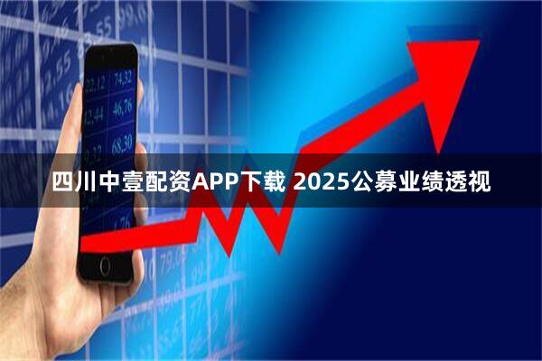 四川中壹配资APP下载 2025公募业绩透视